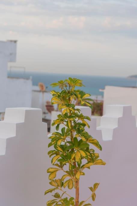 Dar Louban House In Tangier Kasbah Apartman Kültér fotó